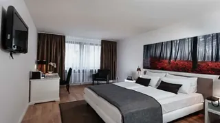 Wyndham Mannheim
