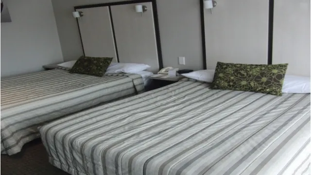 The Summit Lodge Masterton photo 2
