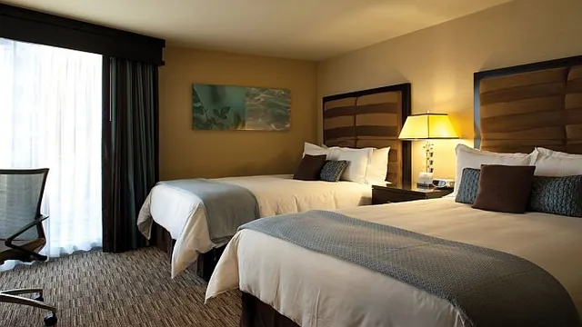 Novotel Manchester Centre photo 1