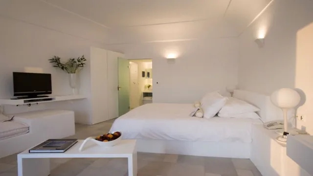 Santorini Grace Hotel photo 3