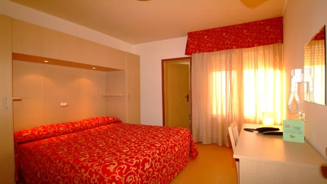 Playa Hotel Rimini photo 2