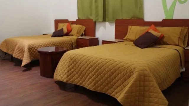 Hostal Amigo Mexico City photo 2