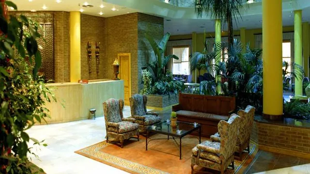 Ibis Bursa photo 2