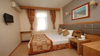 Ibis Medellin