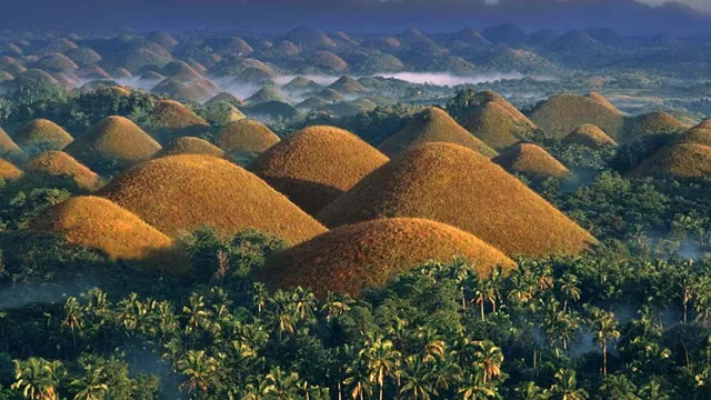 Bohol Shores photo 2