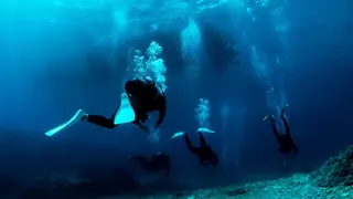 Paradise Resort and Dive Center