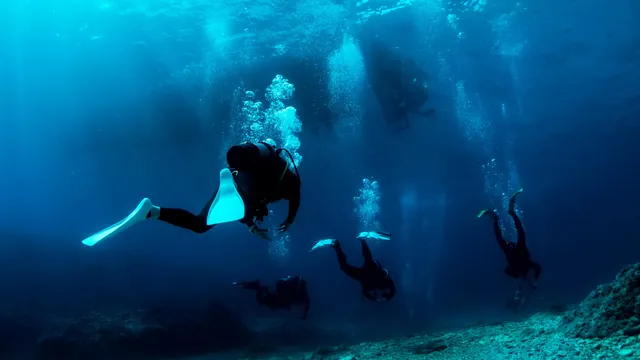 Paradise Resort and Dive Center photo 1