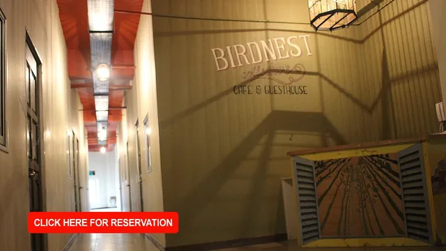 Birdnest Collective Cafe and Guesthouse photo 1