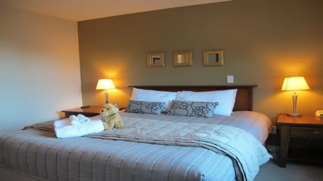 Ibis Styles Douai Gayant Expo Train Station photo 1