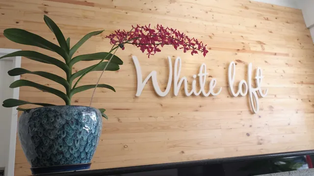 White Loft photo 3