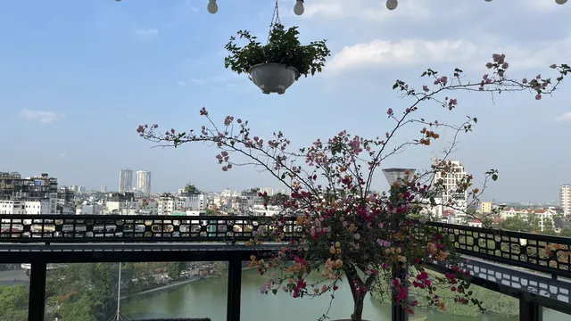 Bonsella Hotel Hanoi photo 2