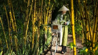 Tam Coc Garden