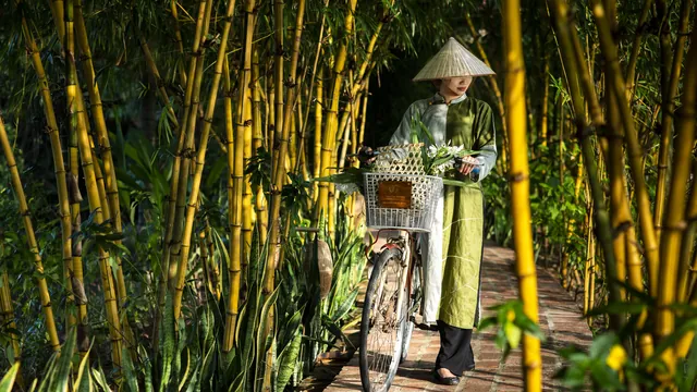 Tam Coc Garden photo 1