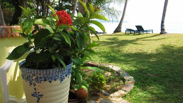 Bamboo Cottages and Restaurant photo 3