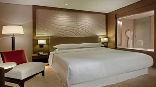 Ibis Styles Lyon Meyzieu Arena Stadium