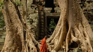 Amansara