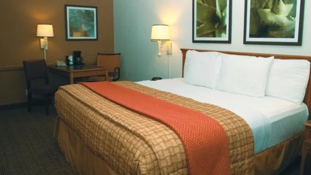 NH Hotel Berlin Kurfuerstendamm photo 3