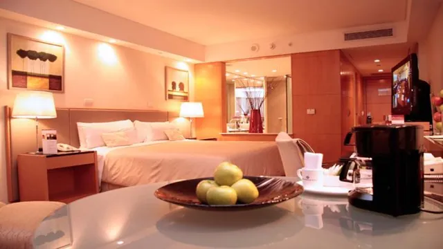 Melia Recoleta Plaza photo 5