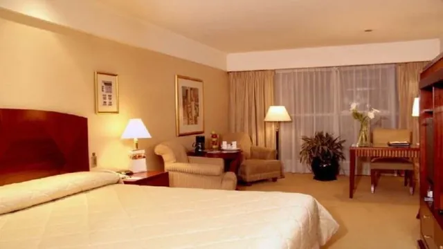 Melia Recoleta Plaza photo 6