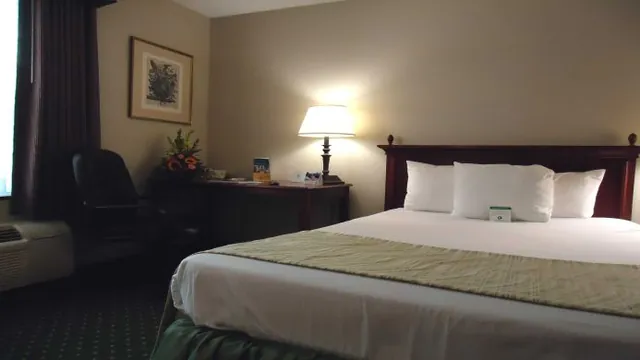 Westminster Hotel photo 2