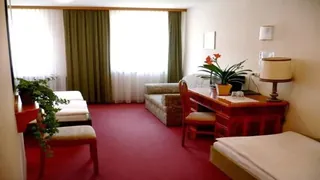 Altstadthotel Goldene Ente