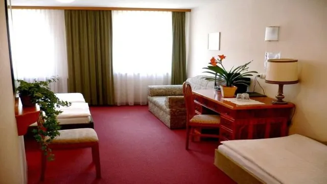 Altstadthotel Goldene Ente photo 1