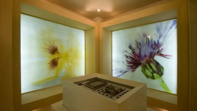 Villa Mabapa photo 2