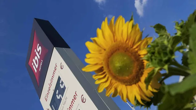 Ibis Berlin Dreilinden photo 3