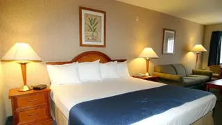 Best Western Main Street Inn Las Vegas