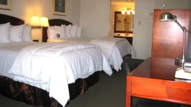 Comfort Inn Gaslamp Convention Center photo 2
