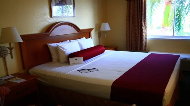 Best Western Plus Fort Myers Inn & Suites photo 2