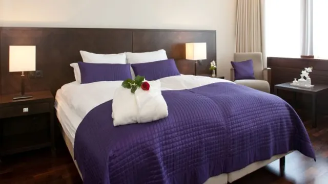 Melia Alicante Hotel photo 3