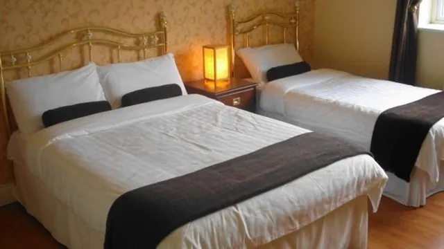 Commercial & Tourist Hotel Ballinamore photo 3