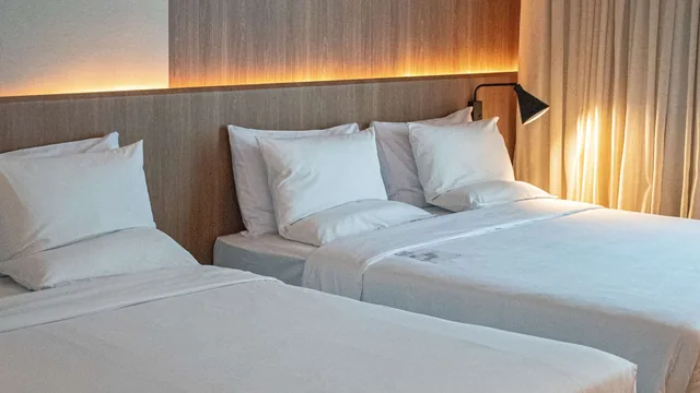 Novotel Sao Paulo Center Norte photo 7