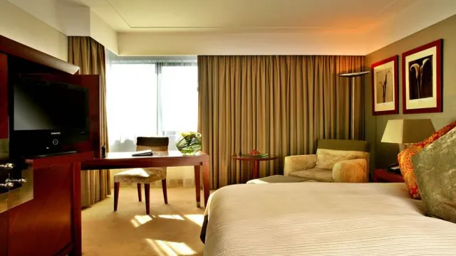 Seminole Hard Rock Hotel & Tampa photo 2