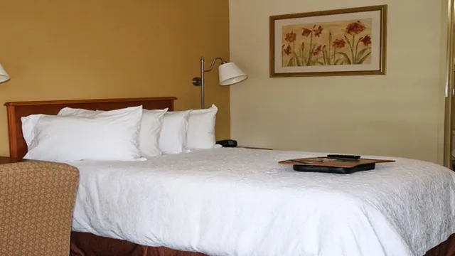 Hampton Inn Augusta-Washington Rd. @ I-20 photo 2