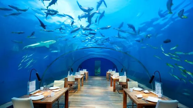 Conrad Maldives Rangali Island photo 5