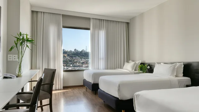 Mercure Belo Horizonte Lourdes photo 9
