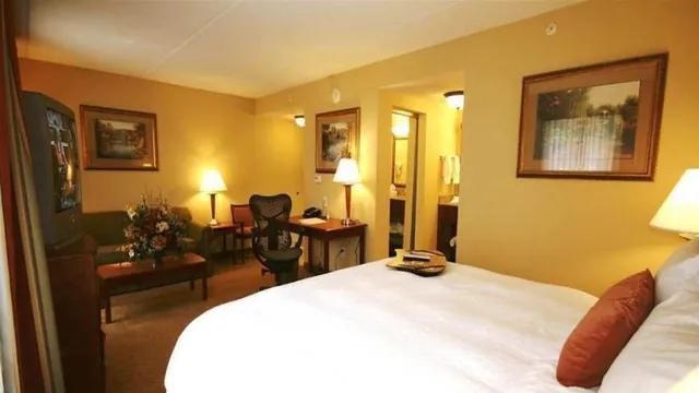Westbury Hotel Dublin photo 1