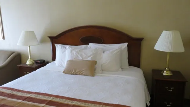 Cradle Mountain Chateau photo 2