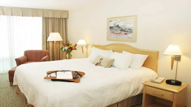 Byron Sunseeker Motel photo 1