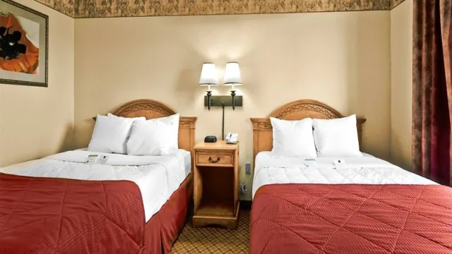 Seagulls Resort photo 1