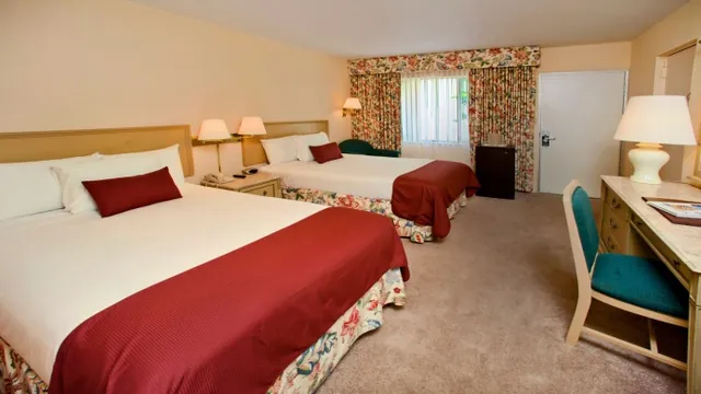 Rydges Bell City Hotel Melbourne photo 3