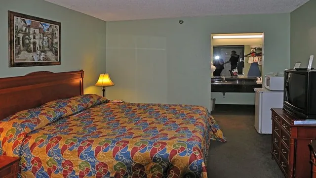 Dolphin Beach Resort St. Petersburg photo 1