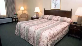Super 8 Motel Denver Stapleton