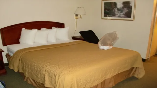 The Pavilions Port Douglas photo 1