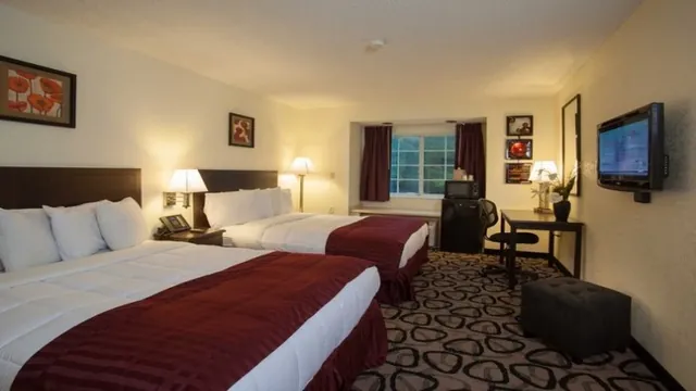 Radisson Hotel Jacksonville Butler Boulevard photo 3