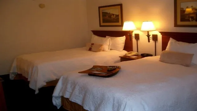 Hampton Inn Southlake Atlanta photo 3