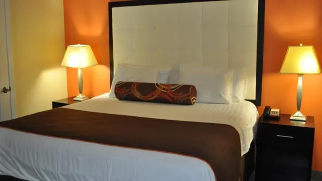 3 Palms Oceanfront Myrtle Beach Hotel photo 2