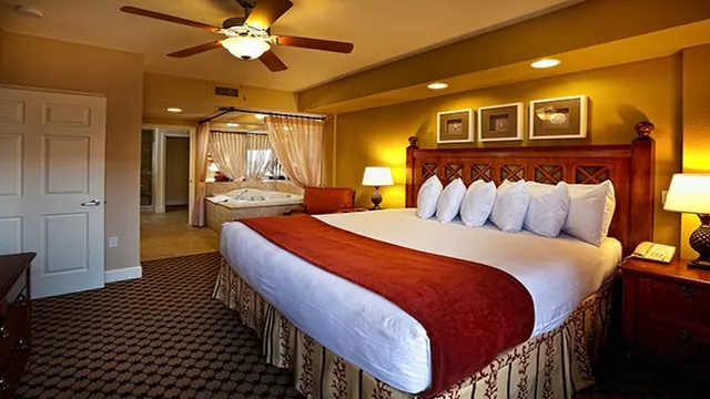 Pethers Rainforest Retreat Gold Coast Hotel photo 2